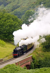 Fototapeta na wymiar Heritage Rail Steam Engine in full steam