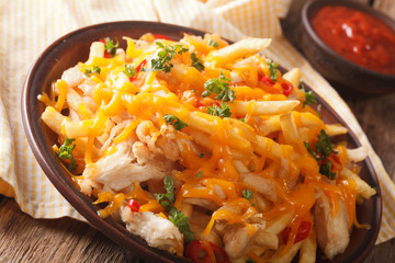french fries with cheddar cheese, chili and chicken close-up. horizontal