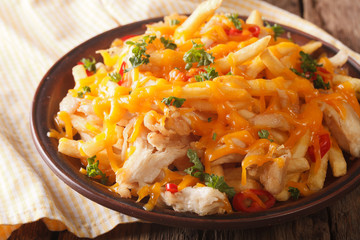 french fries with cheddar cheese and chicken meat close-up. horizontal