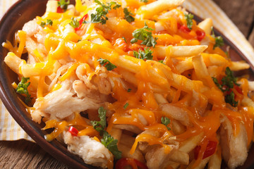 Spicy french fries with cheddar cheese, chili pepper and chicken meat macro. horizontal