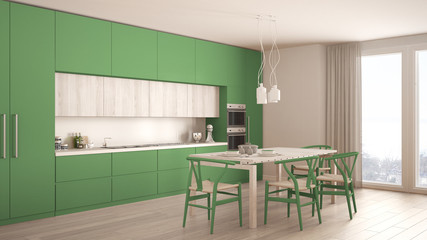 Modern minimal green kitchen with wooden floor, classic interior design