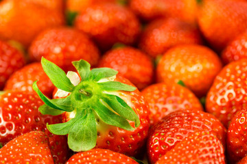 Strawberries as background