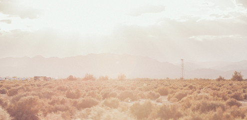 Rural scene in bright sunlight