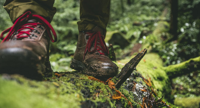 Person in hiking boots on tree trunk
