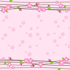Pink background cherry blossoms. Spring background with intertwining blooming branches - 139142128