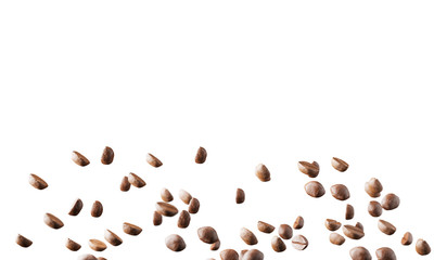 Coffee beans on a white background. Mock up. 3d rendering