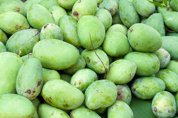 pile of fresh green mango fruit in market at thailand