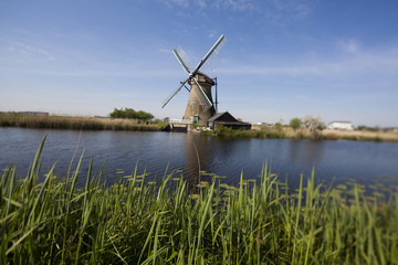 Fototapeta premium Windmill, Kinderdijk in netherlands