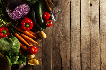 Beautiful fresh harvest vegetables on wooden table with straw hat. Farm, agriculture, spring or summer concept.