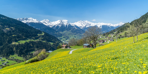 Naklejka na ściany i meble Frühling in den Alpen