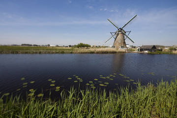 Naklejka premium Dutch windmill in Kinderdijk