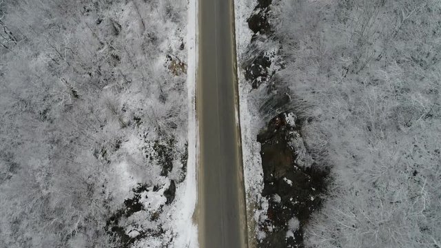 aerial view forest in winter time