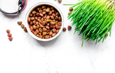 dry dog food in bowl on stone background top view