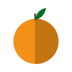 orange fruit icon over white background. colorful design. vector illustration