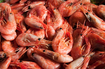 Raw fresh prawns in a large bowl