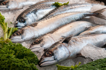 Mackerel fish on ice at the local market