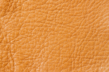 Texture of background for designer, pattern of genuine leather surface. For background , backdrop, substrate, composition use. With place for your text