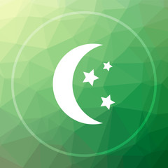 Moon icon