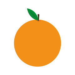 orange fruit icon over white background. colorful design. vector illustration