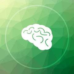 Brain icon