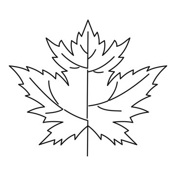Maple leaf icon, outline style