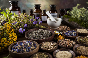 Herbs, berries and flowers with mortar, on wooden table background