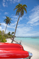 chromes cubain sur la plage