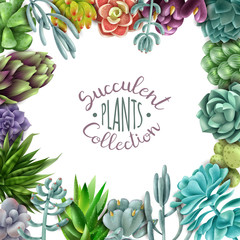 Succulent plants collection