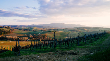 The hills of Tuscany