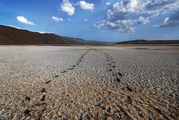 Landscape of Lake Bogoria - Kenya - Africa