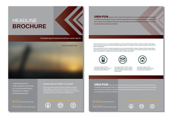 Template layout for annual report brochure flyer vector