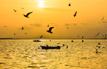 Fishing boat on the sea at sunset. Seagulls flying on the sea.