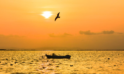 Fishing boat on the sea at sunset. Seagull flying on the sea.