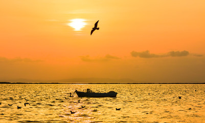 Fototapeta premium Fishing boat on the sea at sunset. Seagull flying on the sea.