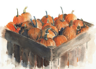 Pumpkins in the wood box watercolor painting isolated on white - 139156709
