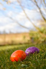 2 bunte Ostereier im Gras mit Landschaft im Hintergrund