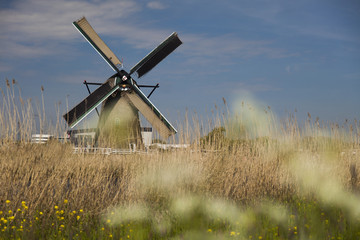 Plakat Windmill, Kinderdijk in netherlands