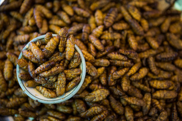 Pile of insect food - Thailand
