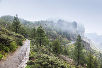 Fototapeta premium Trail to Roque Nublo in fog