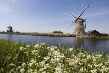 Fototapeta premium Old windmill, Kinderdijk in netherlands