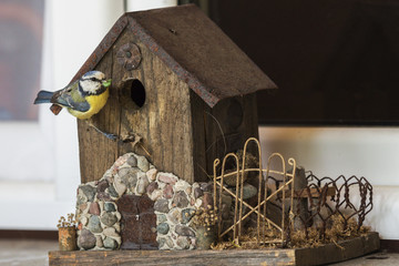 Chickadee bringing food to birdhouse