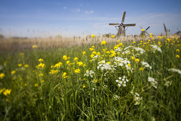 Traditional old windmills in Netherlands