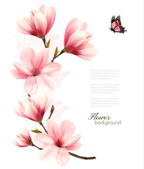 Naklejka premium Beautiful pink magnolia background. Vector.