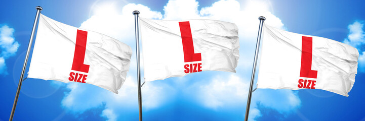 l size, 3D rendering, triple flags