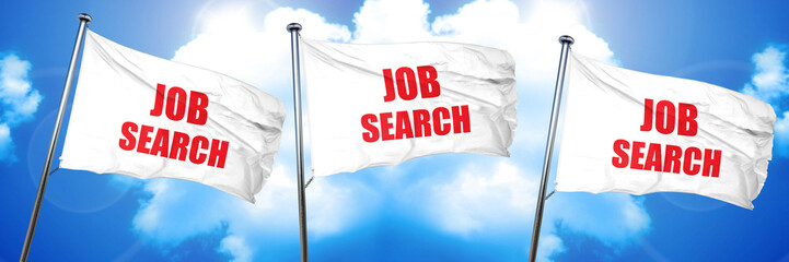 job search, 3D rendering, triple flags