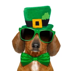 Gartenposter Lustiger Hund St. Patricks Day Hund