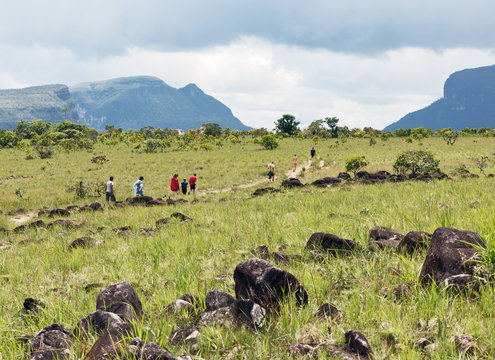 The typical landscape of Gran Sabana in the Canaima national park - Venezuela