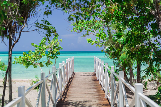 Natural Gorgeous Amazing View Of Wooden Bridge Leading To The Beach Through Tropical Garden