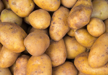Bunch of potato close photo. Brown and yellow vegetables image.