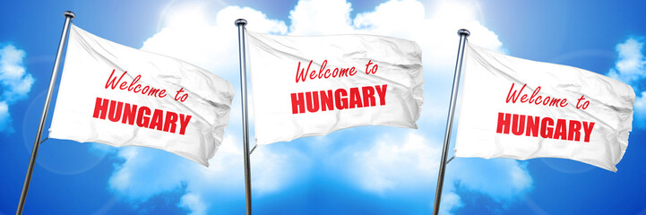 Welcome to hungary, 3D rendering, triple flags